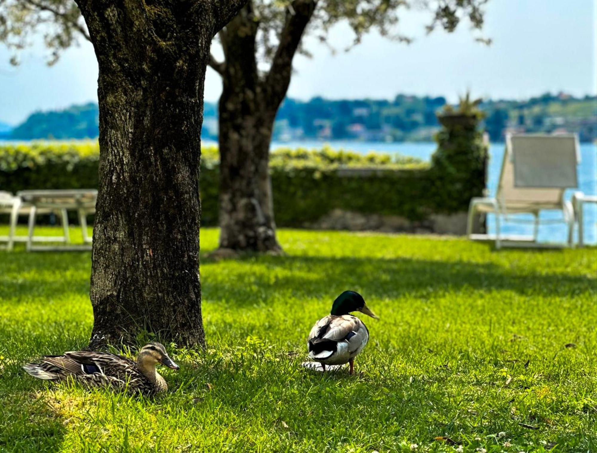 Luxury Lakeside Apartment Right On The Water Salo Bagian luar foto